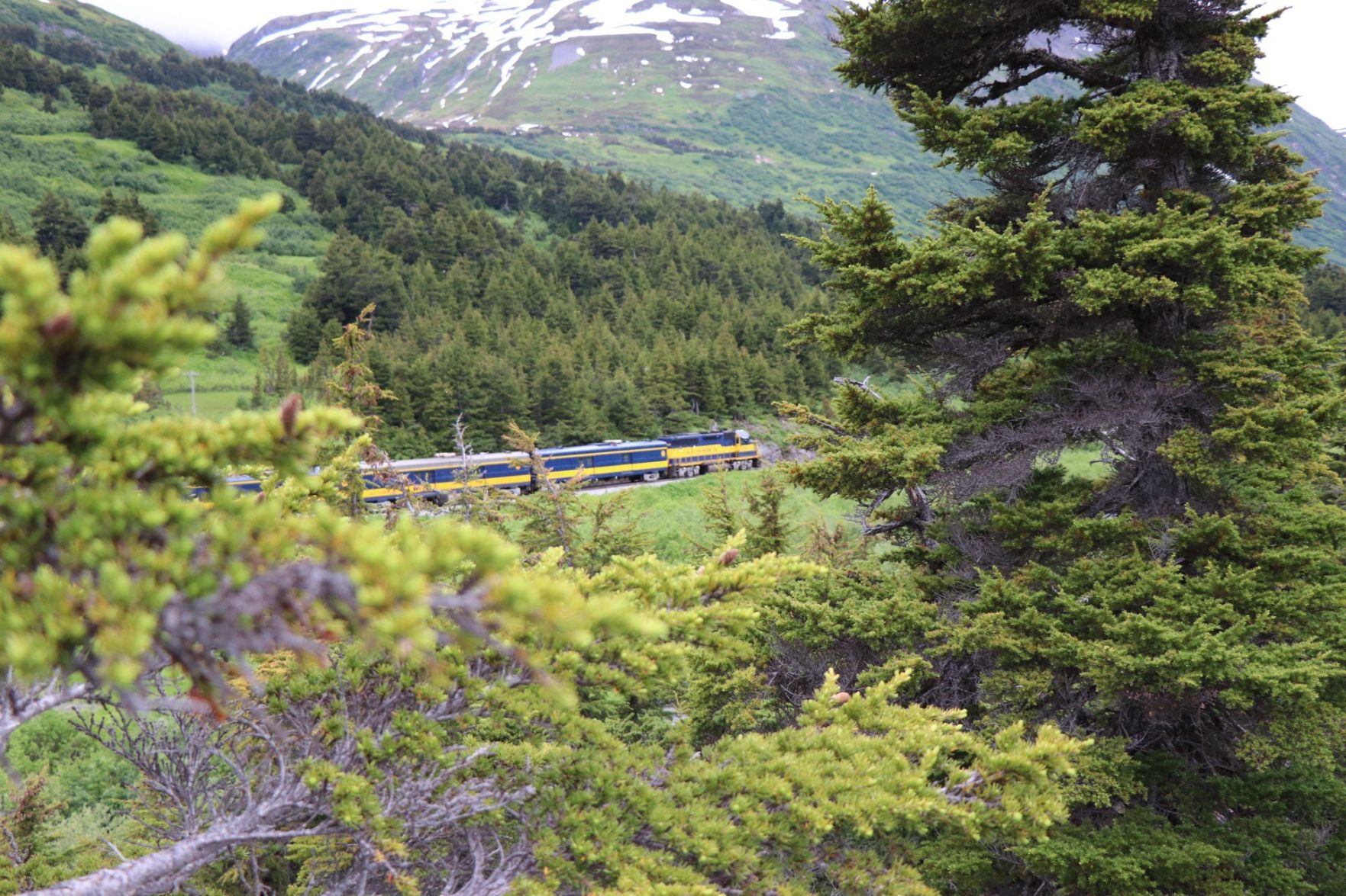 Alaskan railway